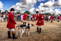 Honiton Hound Show 2022-7