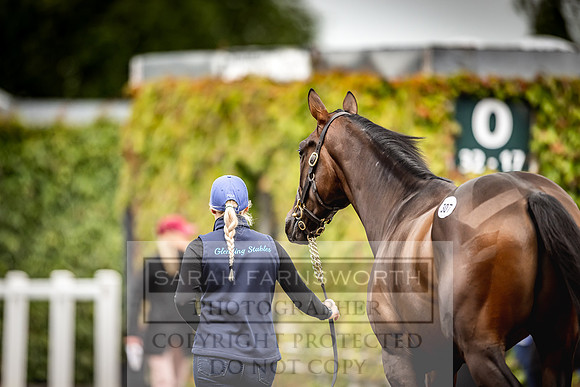 Goffs Land Rover Sale 2022-612