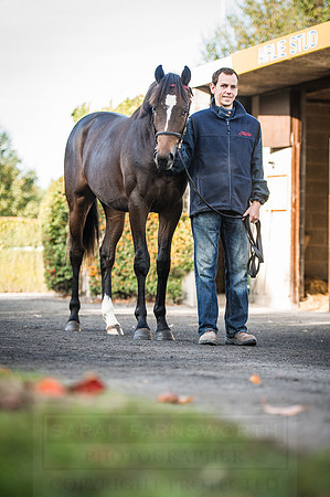 Goffs Orby 2015 -204
