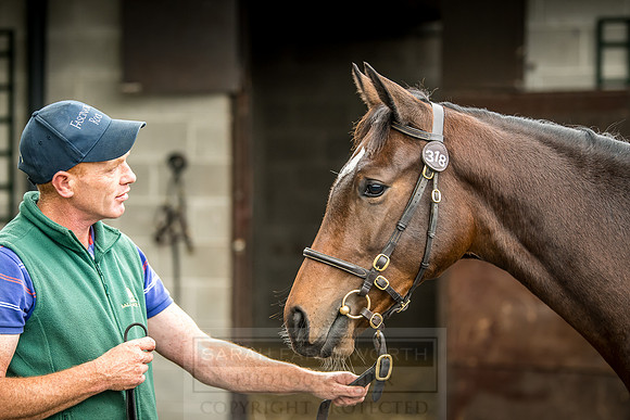Goffs Orby 2018 Day 2-88