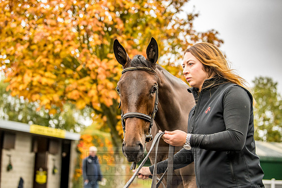 Goffs Orby 2018 Day 1-75
