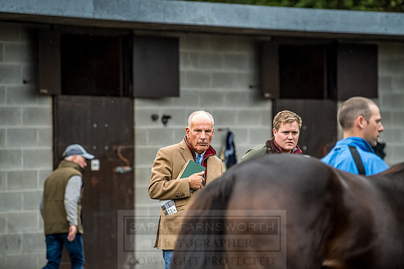 Goffs Orby 2018 Day 2-26