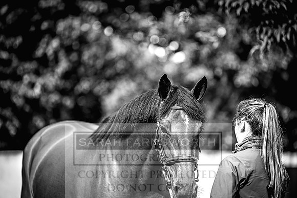 Goffs Land Rover Sale 2022-75