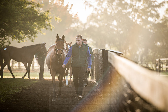 Goffs Orby 2015 -468
