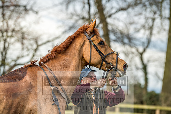 Wynnstay Hunt Ride 2019-111
