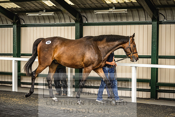 Goffs Land Rover Sale 2022-271