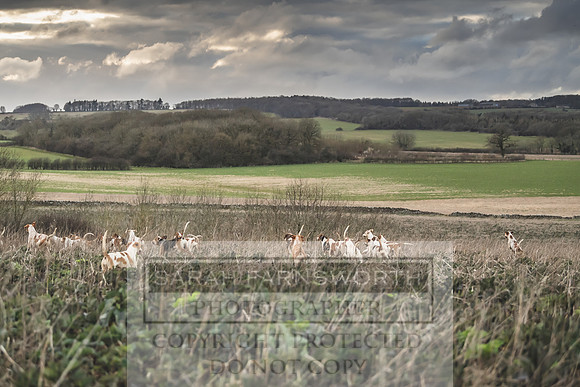 Thurlow at Heythrop 130319-675
