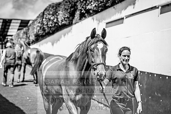 Goffs Land Rover Sale 2022-651
