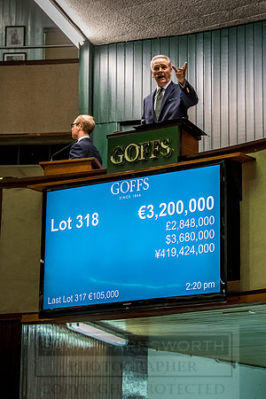 Goffs Orby 2018 Day 2-182