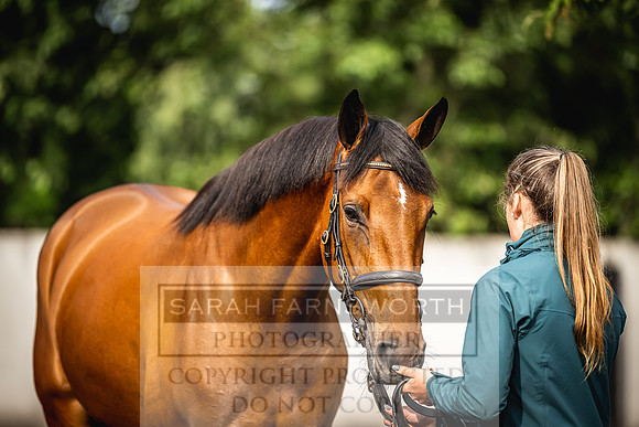 Goffs Land Rover Sale 2022-74