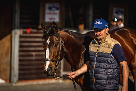 Goffs UK Breeze Up 2022-40