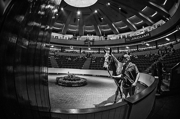 Goffs Orby 2015 -534 bw
