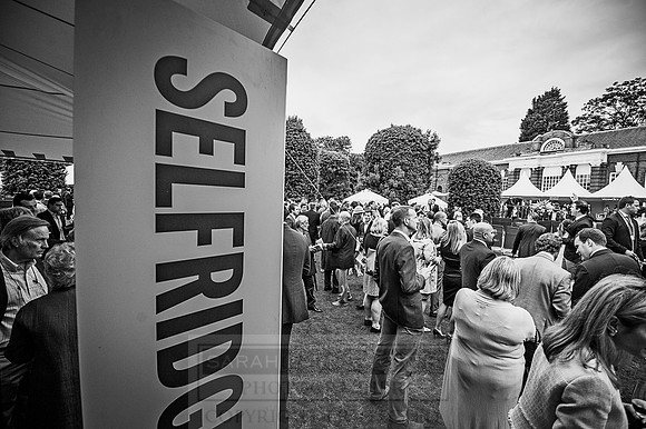 Goffs London Sale 2016-469