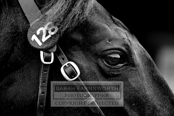 DBS 310811 025 bw