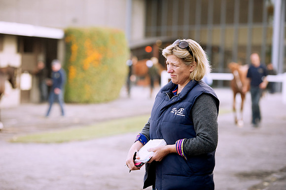 Goffs Orby14 CF1 656