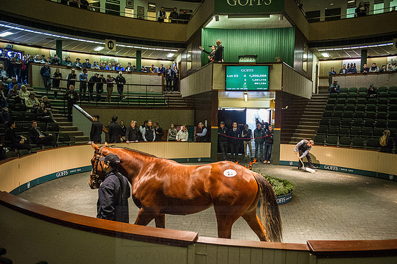Goffs Orby 2015 -242