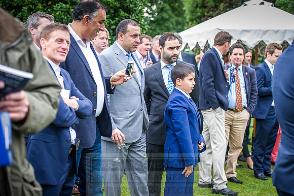 Goffs London Sale 2016-481