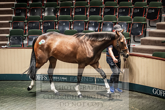 Goffs Land Rover Sale 2022-199