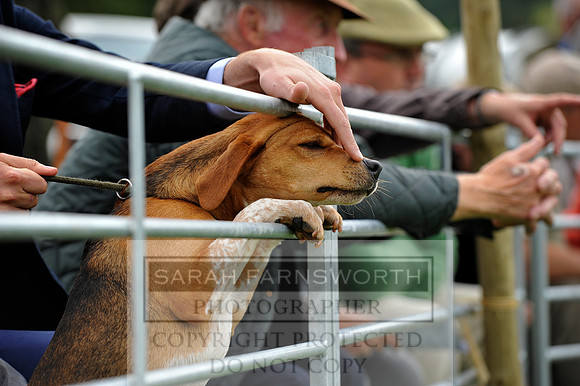 Rydal 2014 CF2 809
