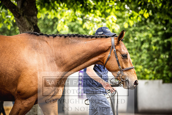 Goffs Land Rover Sale 2022-365
