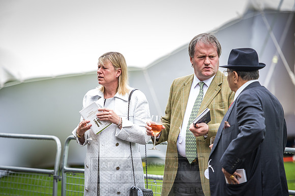 Goffs London Sale 2016-65