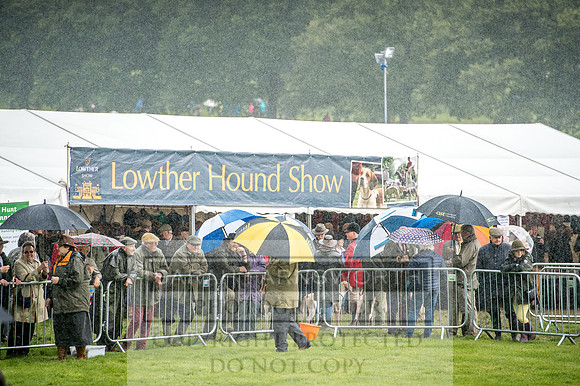 Lowther Hound Show 2017-4