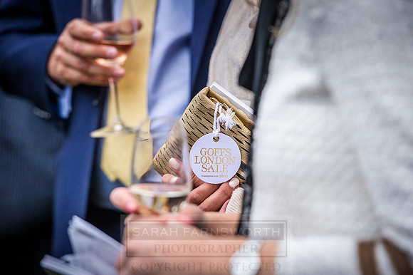 Goffs London Sale 2016-459