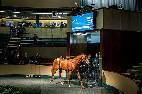 Goffs Orby 2018 Day 1-152
