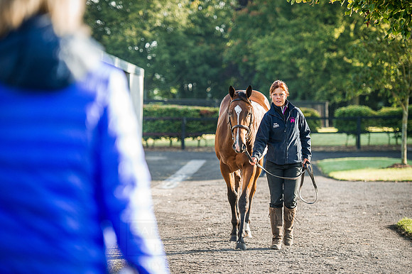 Goffs Orby 2015 -178