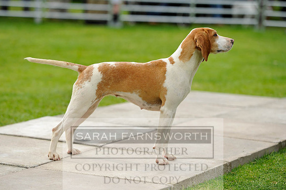 Rydal 2014 CF2 973