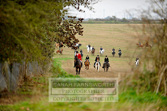 Brocklesby 021113 CF3 571