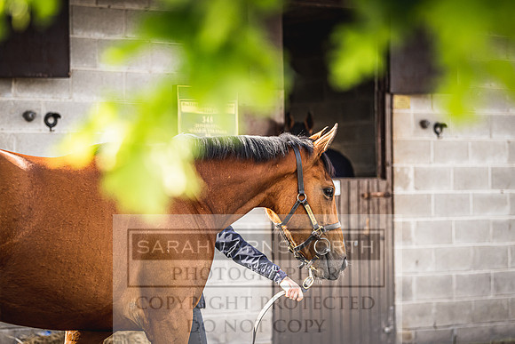 Goffs Land Rover Sale 2022-125