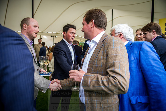 Goffs London Sale 2016-292