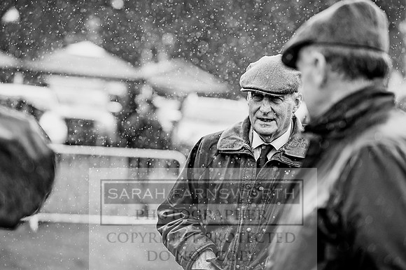 Lowther Hound Show 2017-25