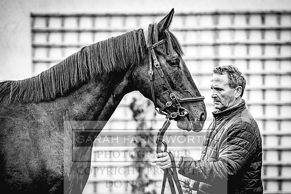 Goffs Land Rover Sale 2022-434