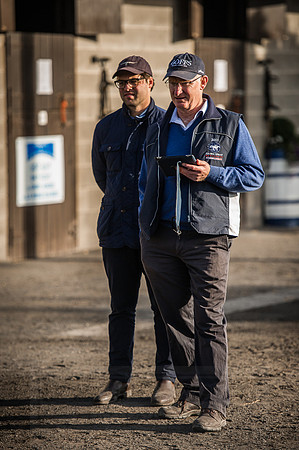 Goffs Orby 2015 -214