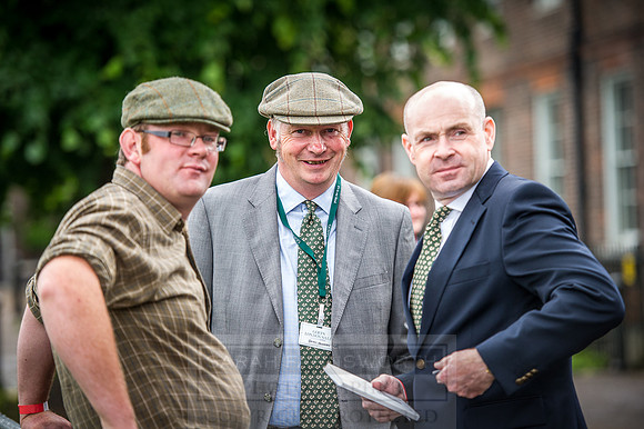 Goffs London Sale 2016-130