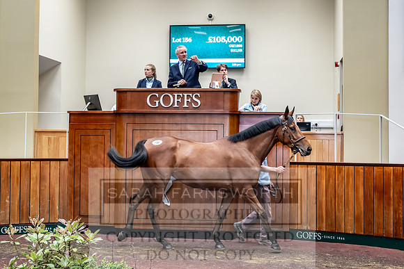 Goffs UK Spring Sale 2024-157