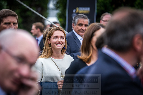 Goffs London Sale 2016-486