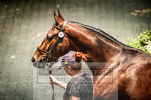 Goffs Land Rover Sale 2022-209