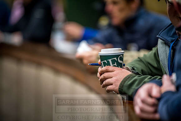 Goffs Orby 2018 Day 2-83