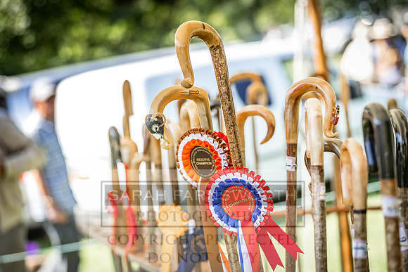 Rydal Hound Show 2022-124