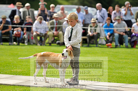 Rydal 2014 CF2 112