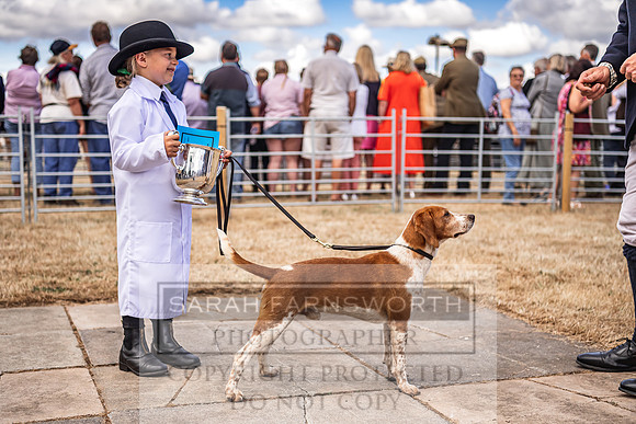 Honiton Hound Show 2022-61