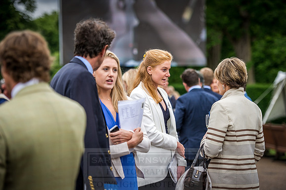 Goffs London Sale 2016-113