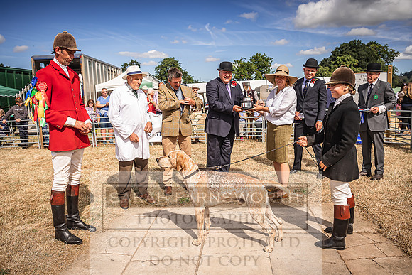 Honiton Hound Show 2022-74