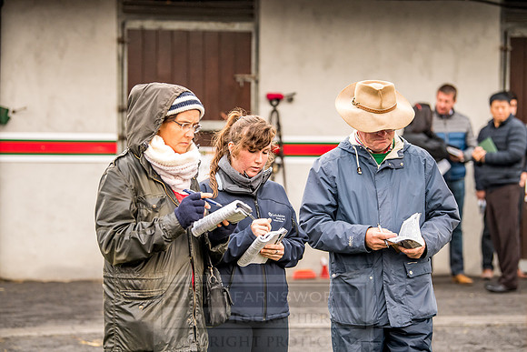 Goffs Orby 2018 Day 1-46