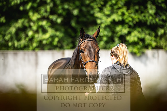 Goffs Land Rover Sale 2022-153
