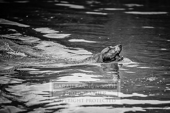 Desmond 060616-121 bw