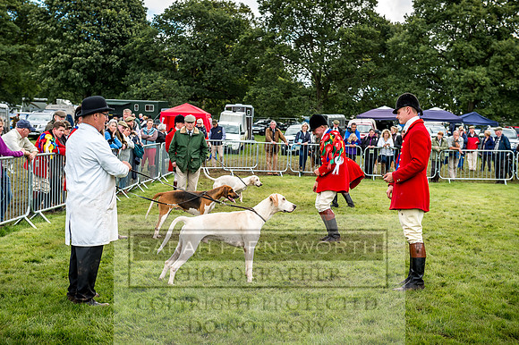Lowther Hound Show 2017-122